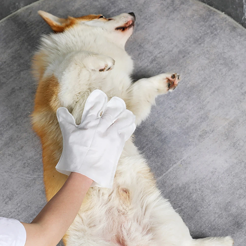 Luva de Limpeza Antibacteriana para Pets - NiliPets