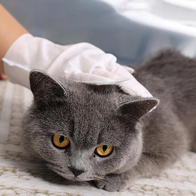 Luva de Limpeza Antibacteriana para Pets - NiliPets