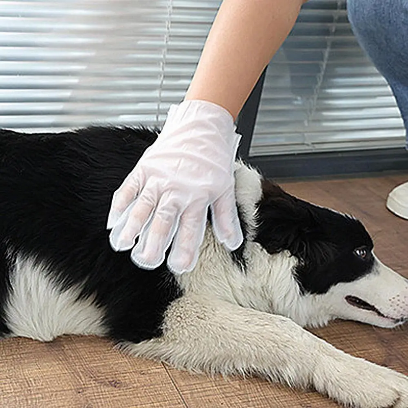 Luva de Limpeza Antibacteriana para Pets - NiliPets