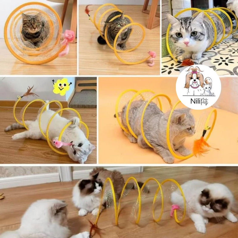 Gatúnel - Brinquedo de Túnel - NiliPets