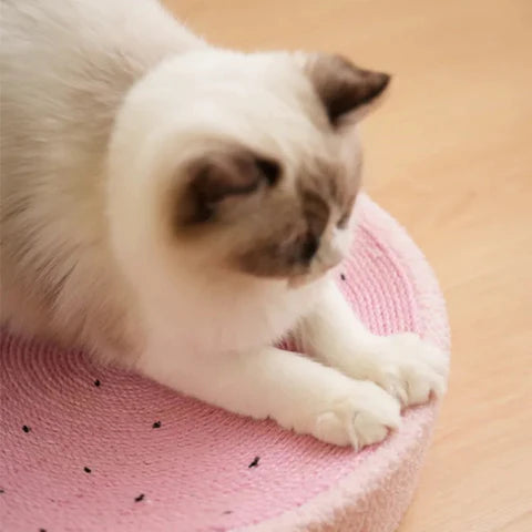 Cama Arranhador - NiliPets