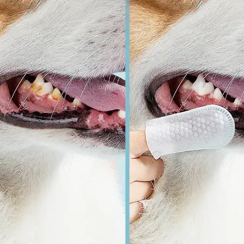 Lenço de Limpeza Dental para Pets - FurFriends