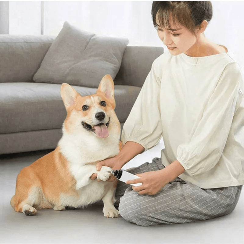 Lixador de Unha Pet Elétrico Recarregável Peludita - OFERTA RELÂMPAGO! - NiliPets