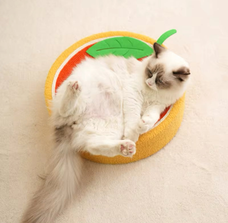 Cama Arranhador - NiliPets