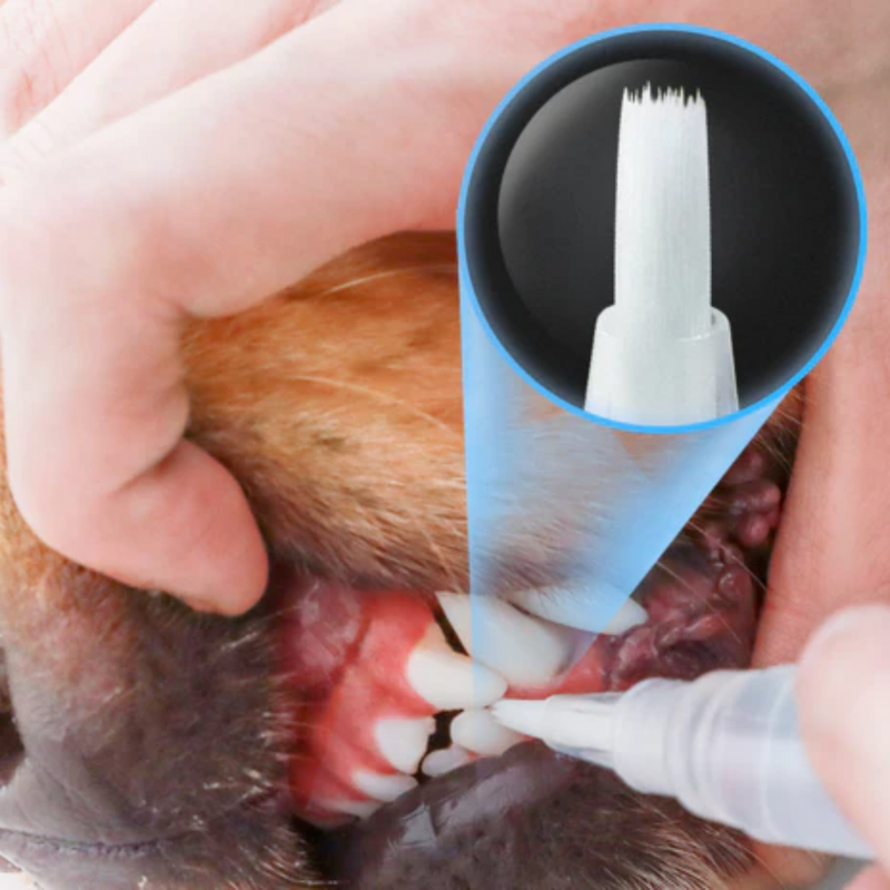 Kit de Canetas para Cuidados Bucais - FurFriends