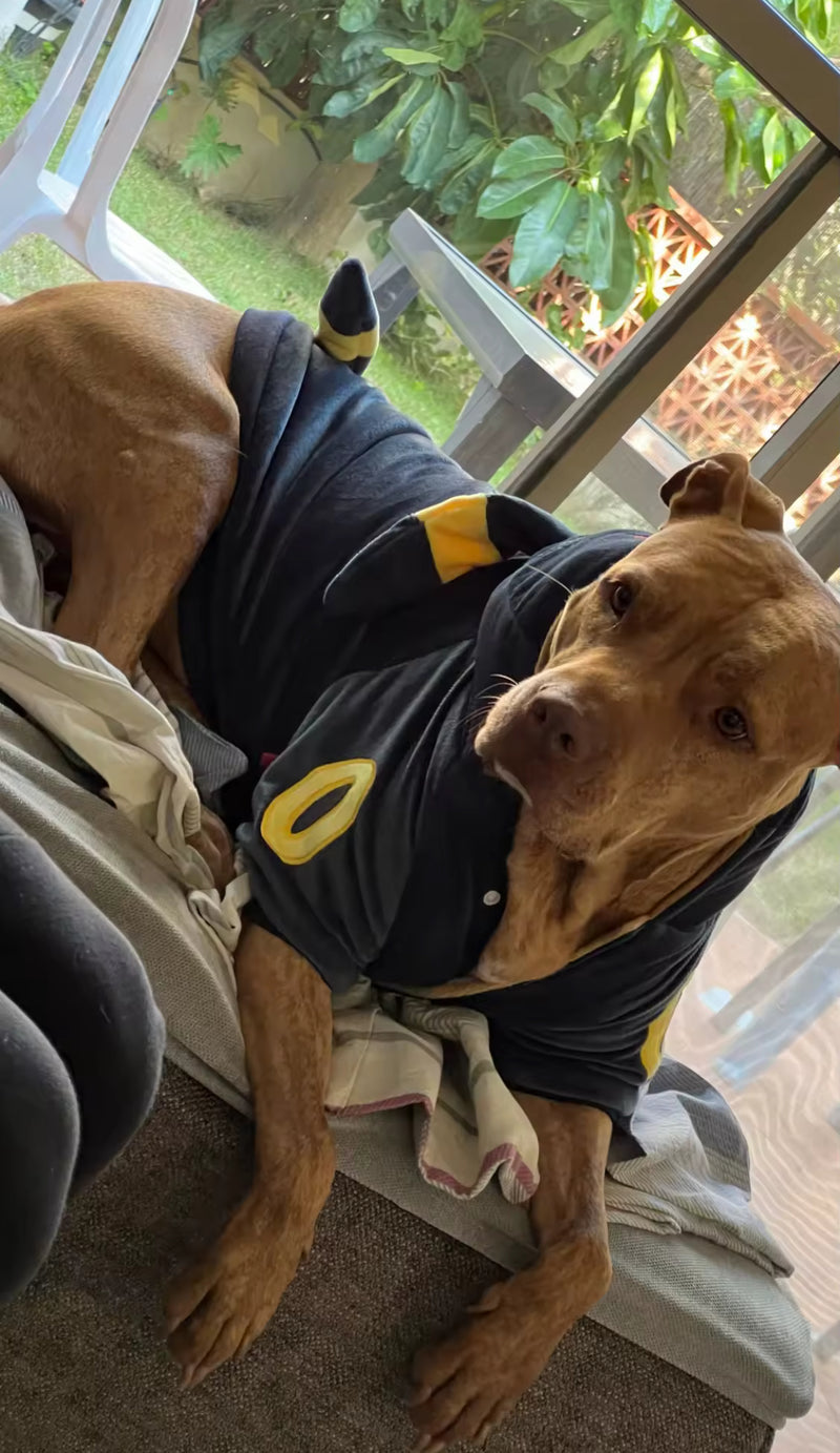 Roupa Sazac Pokemon - PetStyle