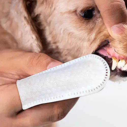 Lenço de Limpeza Dental para Pets - FurFriends