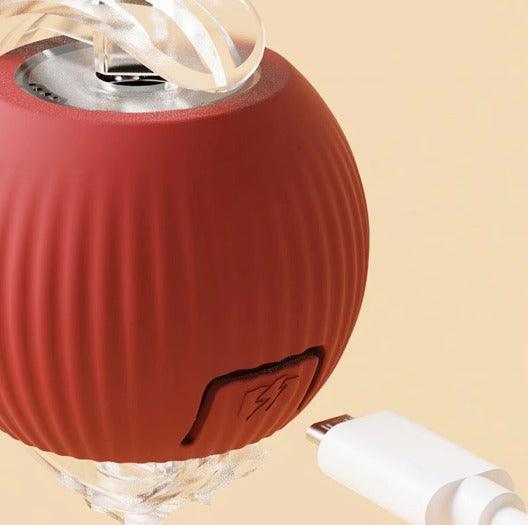 Bolinha Automática Caça Eletrônica - NiliPets