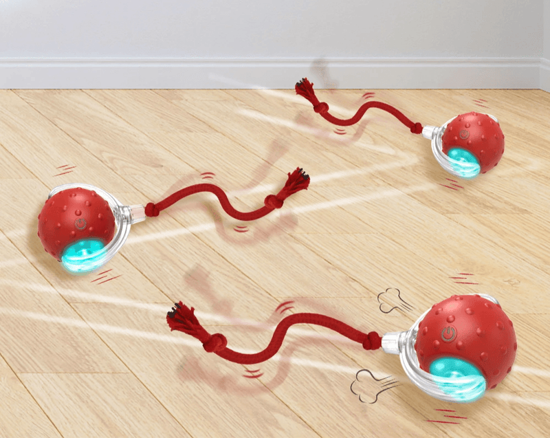 Bolinha Automática Caça Eletrônica - NiliPets