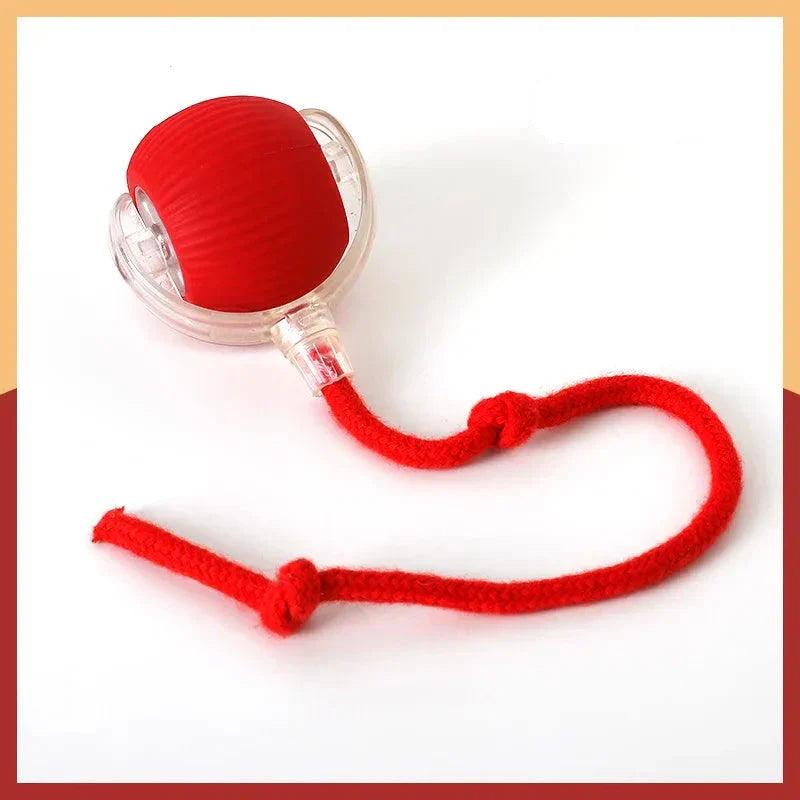 Bolinha Automática Caça Eletrônica - NiliPets