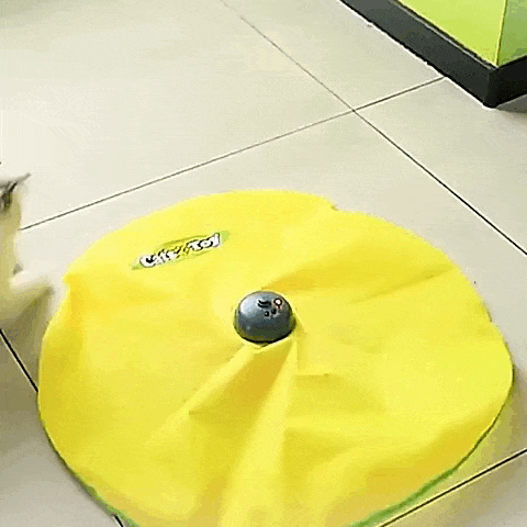Tapete Mágico para Pets - NiliPets