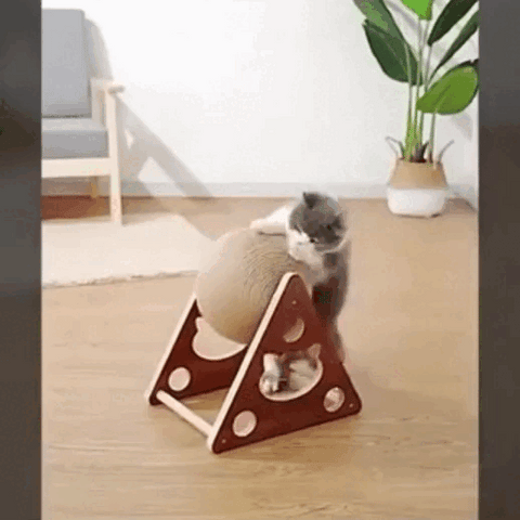 Arranhador de Bola - Fur Friends - NiliPets