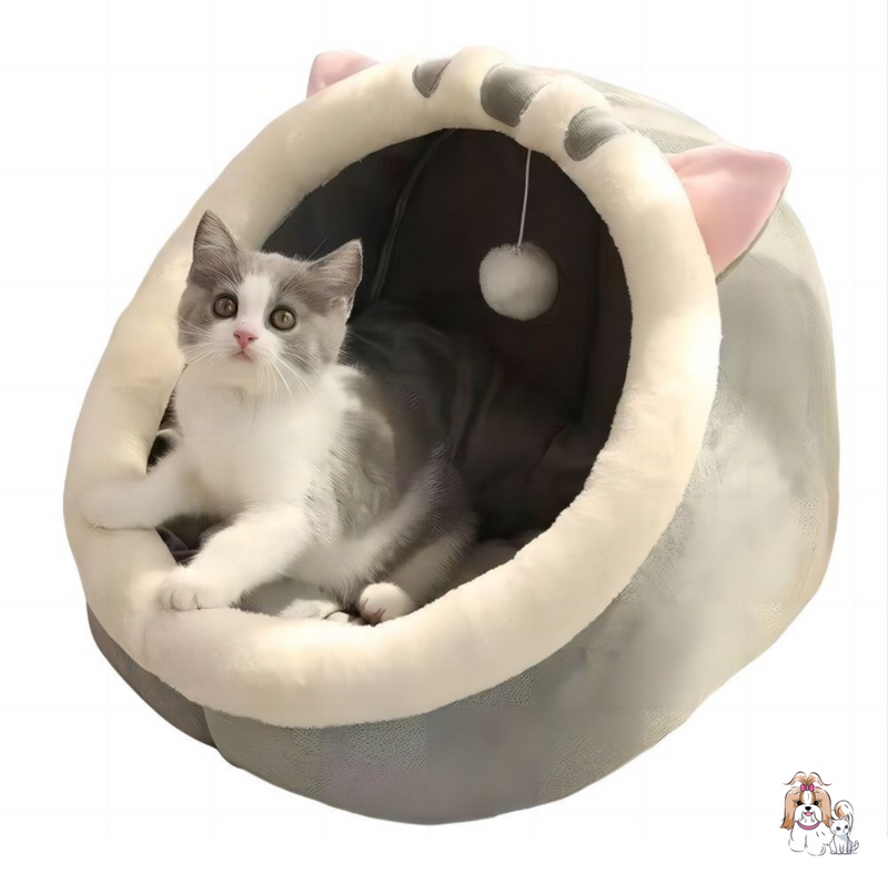 Toca Divertida - PetStyle