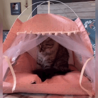 Cama Pet Luxo - PetFriends