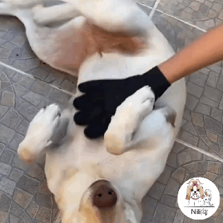 Luva de Silicone Removedora de Pelos - PetFriends