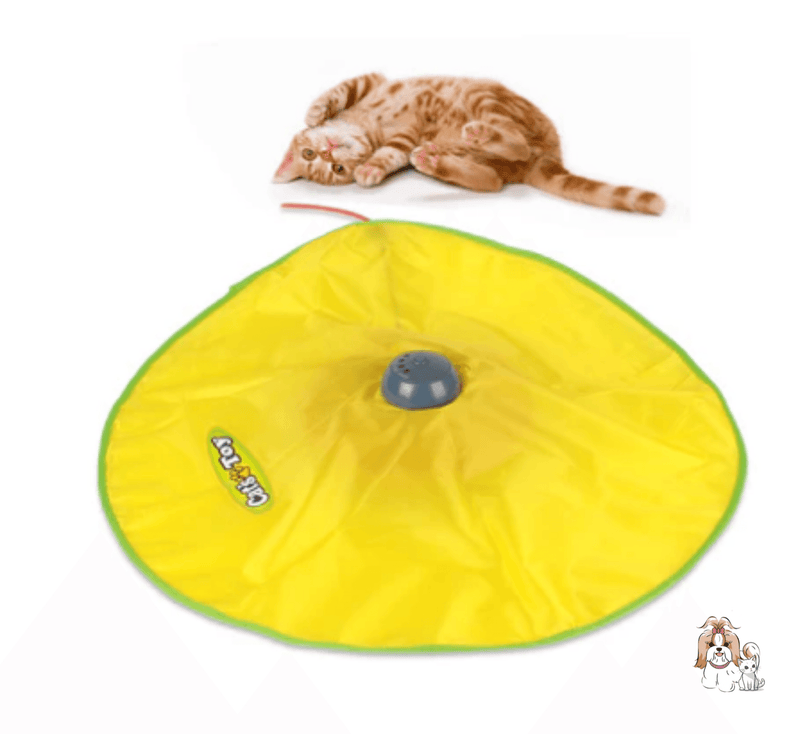 Tapete Mágico para Pets - NiliPets
