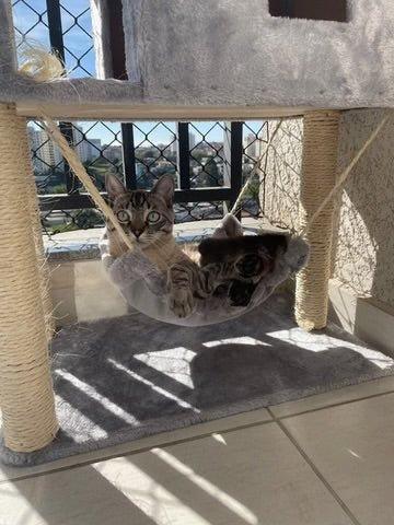 Arranhador Casa - Fur Friends - NiliPets