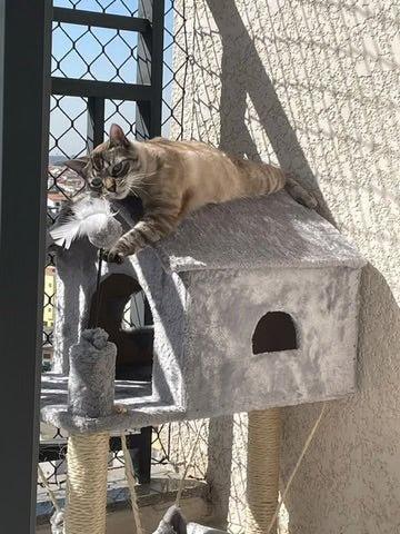 Arranhador Casa - Fur Friends - NiliPets