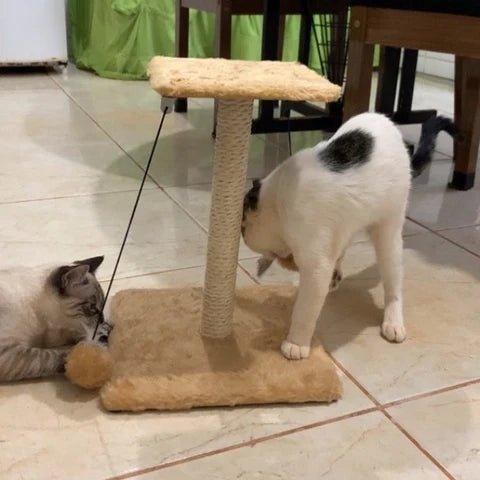 Arranhador de gato - Fur Friends - NiliPets