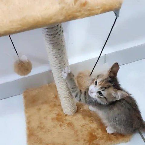 Arranhador de gato - Fur Friends - NiliPets