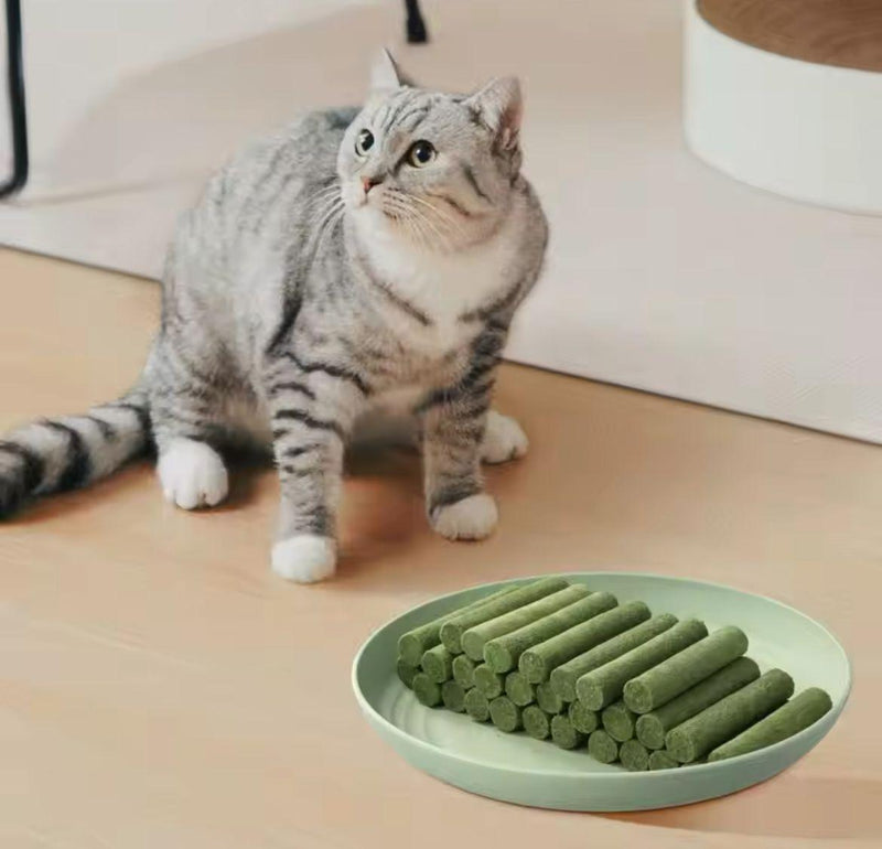 Bastões de Grama Comestíveis para Gatos - Fur Friends - NiliPets