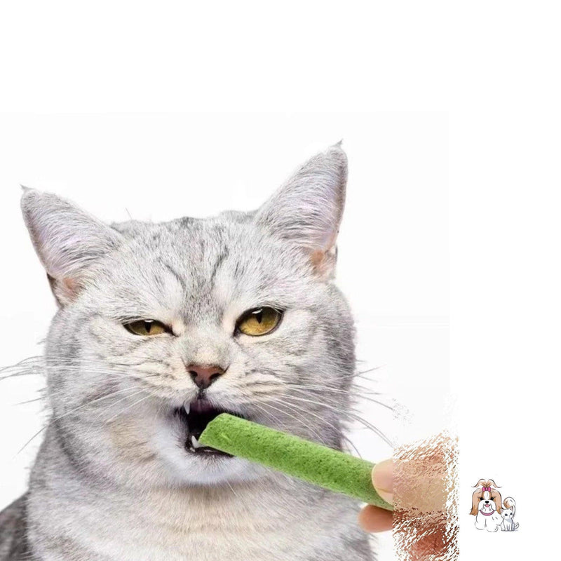 Bastões de Grama Comestíveis para Gatos - Fur Friends - NiliPets