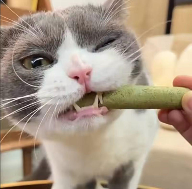 Bastões de Grama Comestíveis para Gatos - Fur Friends - NiliPets
