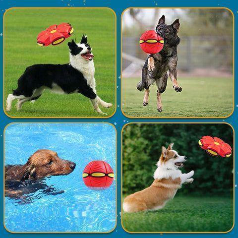 Bola Pula Pula Pet - Fur Friends - NiliPets