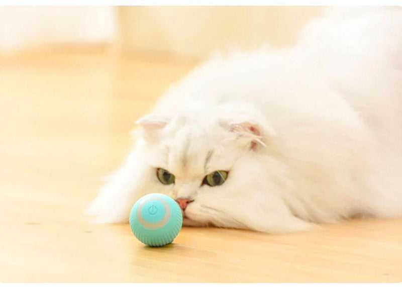 Bolinha Interativa Inteligente Elétrica - Fur Friends - NiliPets