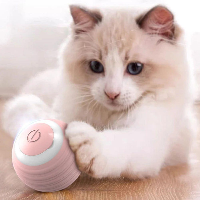 Bolinha Interativa Inteligente Elétrica - Fur Friends - NiliPets