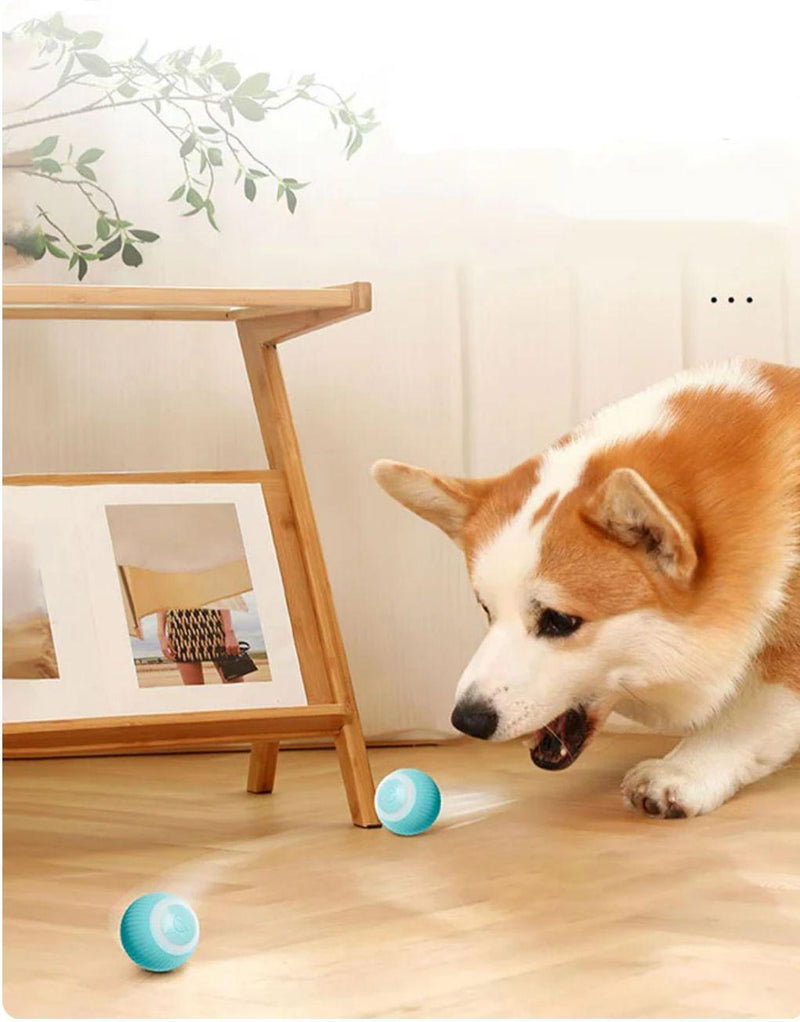 Bolinha Interativa Inteligente Elétrica - Fur Friends - NiliPets