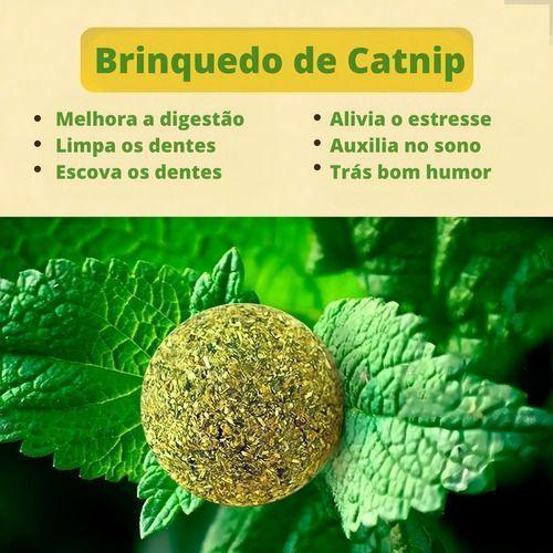 Brinquedo Abacate Catnip Lambe Lambe para Gatos - Fur Friends - NiliPets
