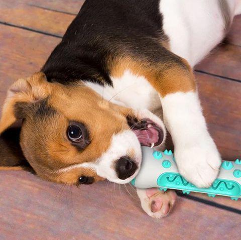 Brinquedo SorriCão - Fur Friends - NiliPets