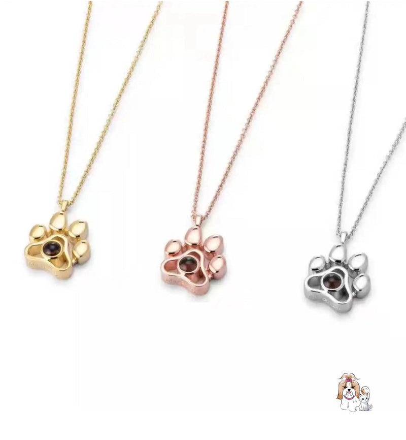 Colar Personalizad - Pet Amour - NiliPets