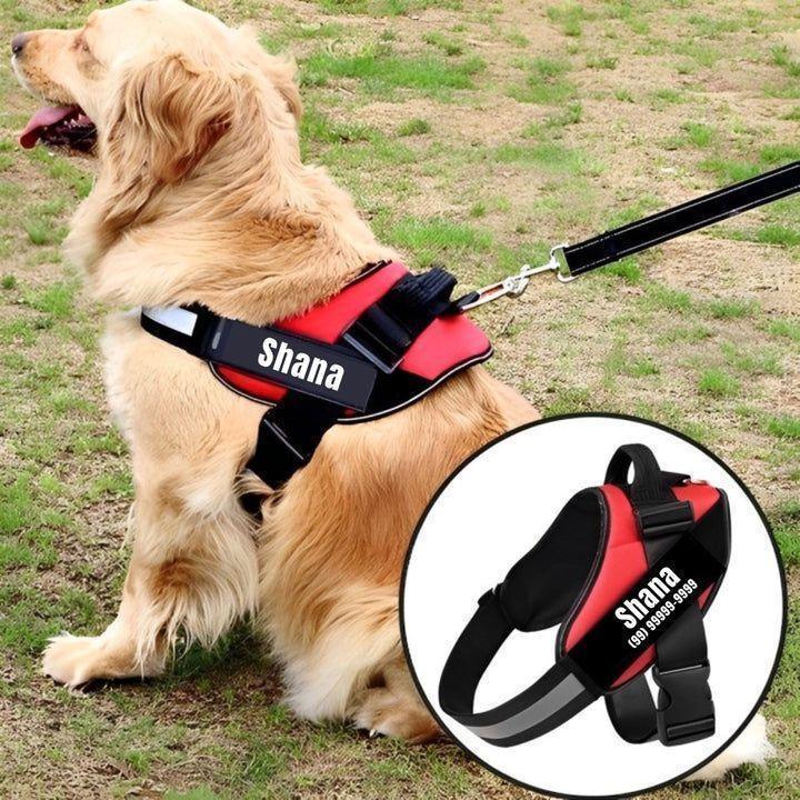 Coleira Personalisada - Fur Friends - NiliPets