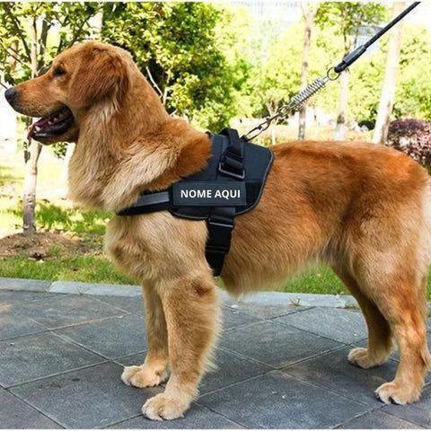 Coleira Personalisada - Fur Friends - NiliPets