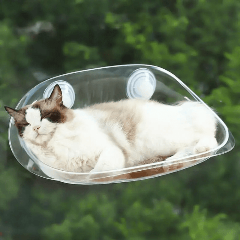 Cama Suspensa Moderna para Gatos - NiliPets