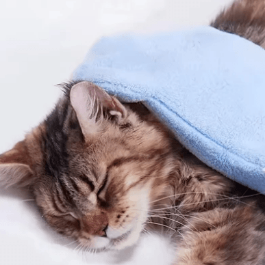 Luva de Microfibra para Banho - NiliPets