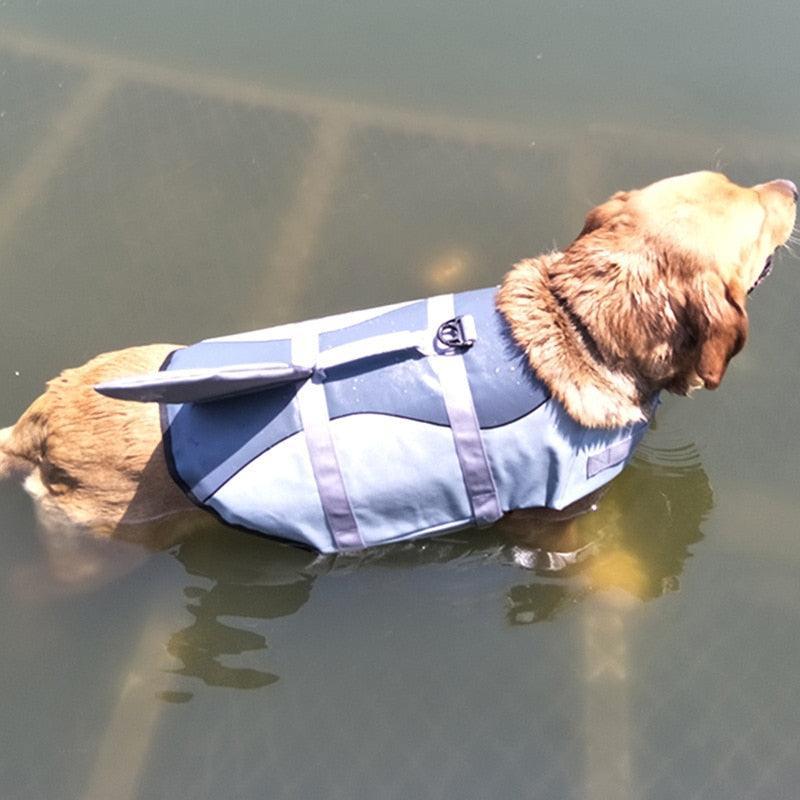 Colete salva-vidas para cachorros - NiliPets