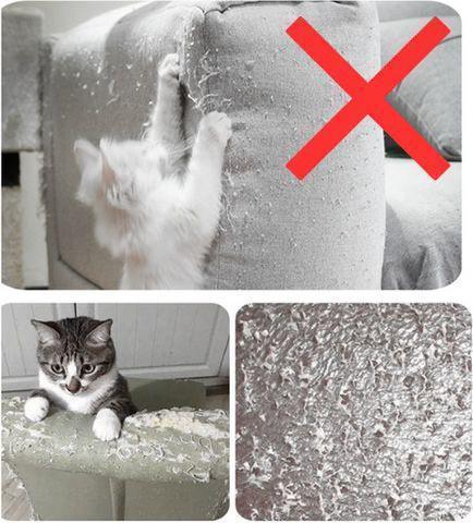 Protetores de Móveis para Gatos Pelicula - Fur Friends - NiliPets