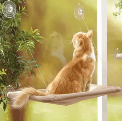 Cama de Janela Suspensa para Gato - NiliPets