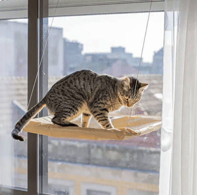 Cama de Janela Suspensa para Gato - NiliPets