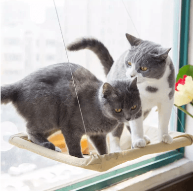 Cama de Janela Suspensa para Gato - NiliPets