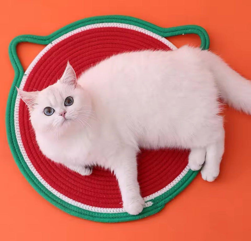 Tapete Arranhador - Fur Friends - NiliPets