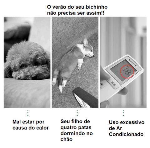 Tapete Gelado para Pets - Fur Friends - NiliPets