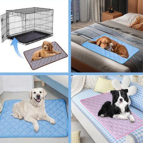 Tapete Gelado para Pets - Fur Friends - NiliPets