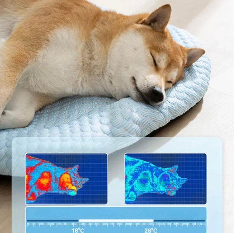 Tapete Respirável - Pet Style - NiliPets