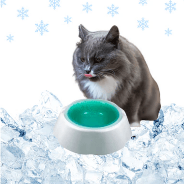 Tijela Gelada para Pets - NiliPets