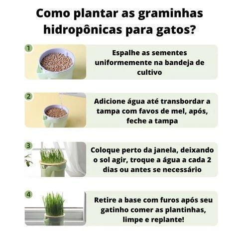 Vaso de Planta para Gatos - Fur Friends - NiliPets