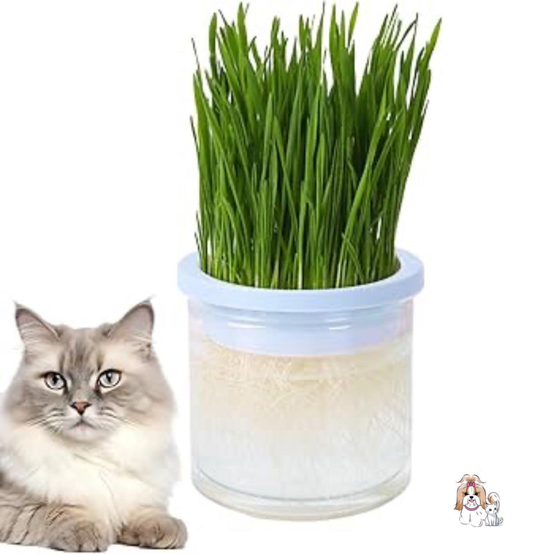 Vaso de Planta para Gatos - Fur Friends - NiliPets